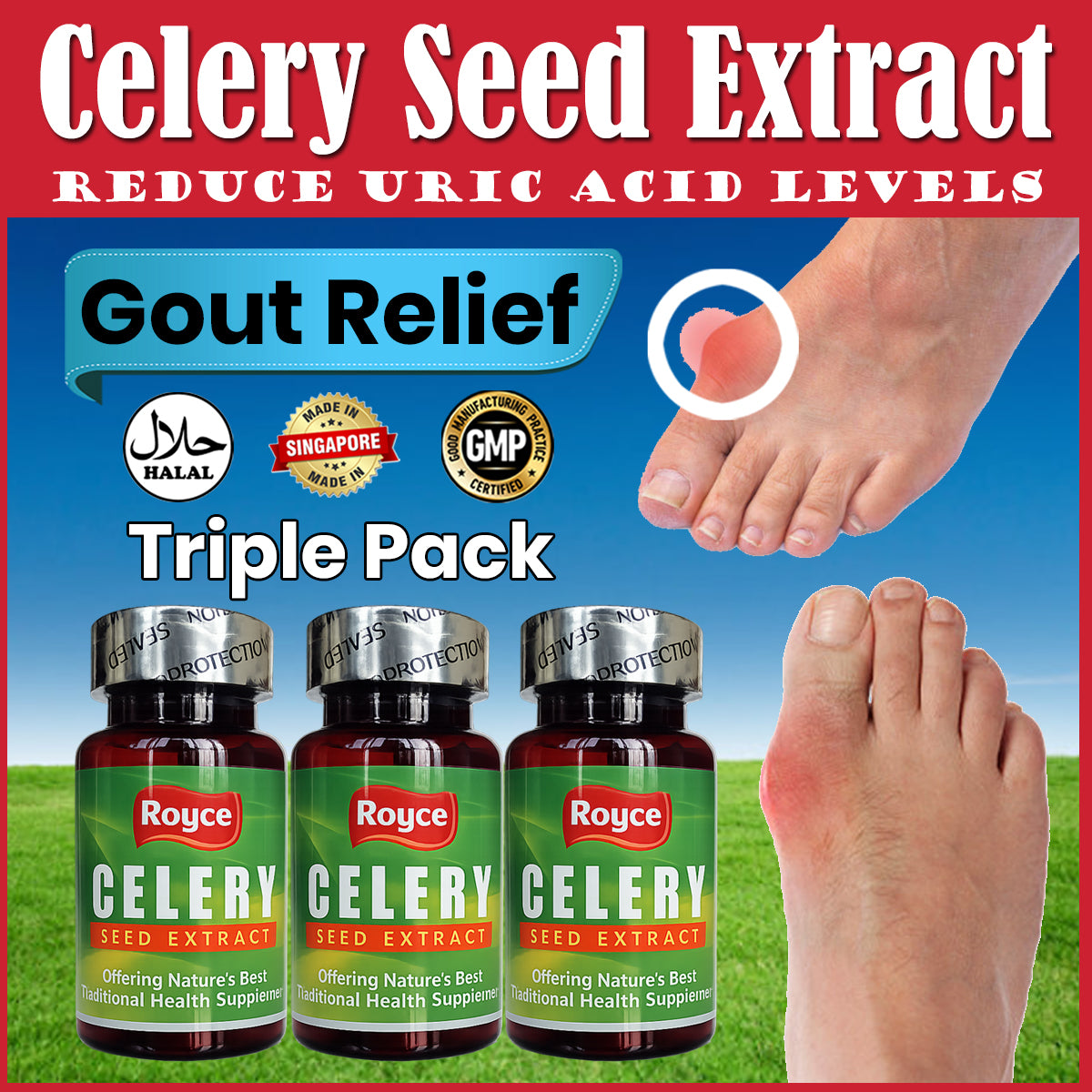 Royce Celery Seed Triple Pack (60x3) 180 capsules Gout Uric Acid GMP Certified Made in Singapore
