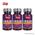Royce LingZhi Triple Pack Bundle (60X3) 180 capsules King of Herbs Vegan Singapore GMP Quality